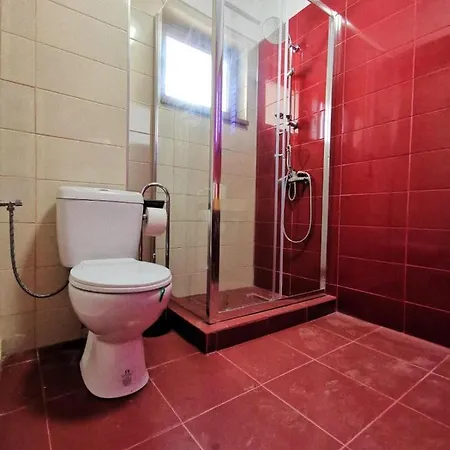 Violet Apartment-brilliant